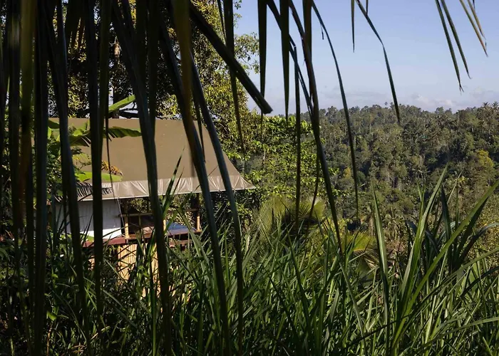 Plantation Hideaway *