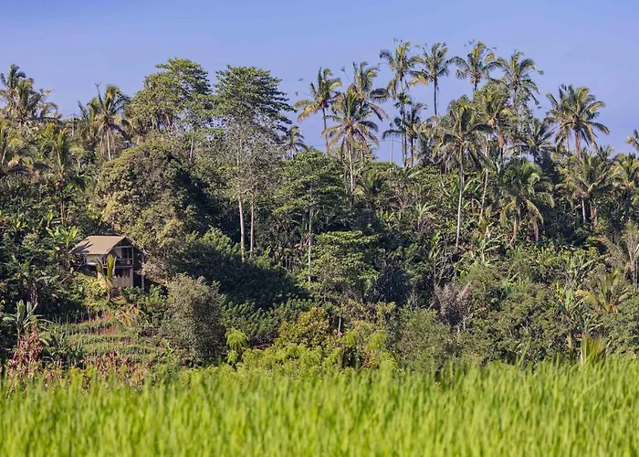 Plantation Hideaway * Sanda